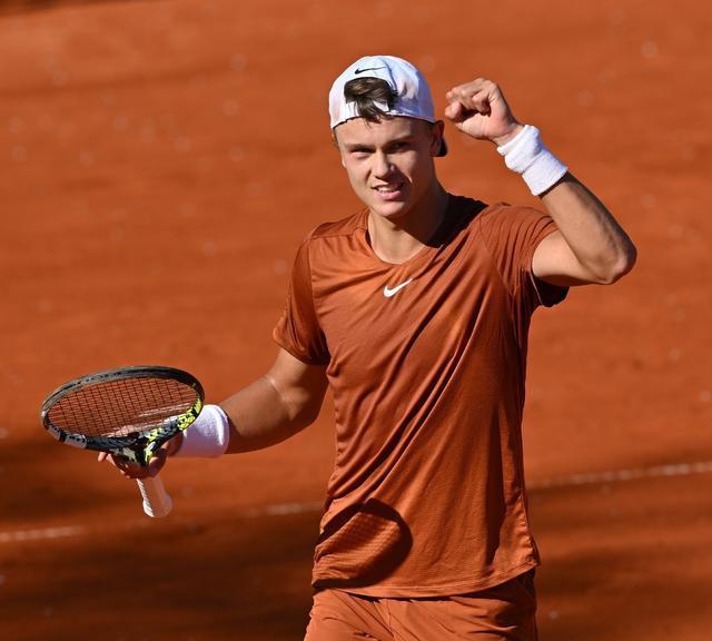 引发了不少 引发了不少